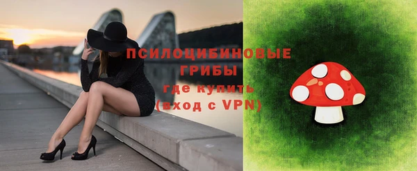 a pvp Гусев