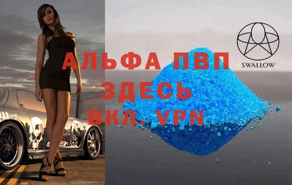 a pvp Гусев